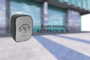 Ключ-кнопка KEYSWITCH_N